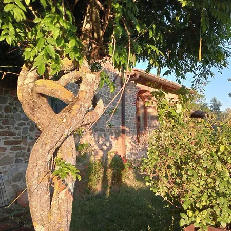 La Casa Di San Donato In Perano